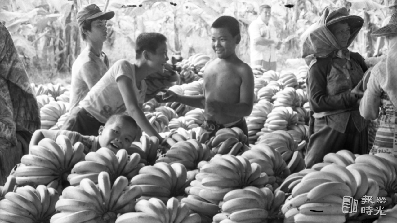 臺湾懐蕉 独特な食感と甘さが自慢の台湾バナナを楽しむ。【&Taipei 台湾スイーツ