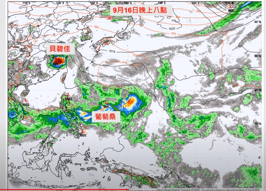 賈新興指出，14日至15日菲律賓東南方外海熱帶性低氣壓，有機會於16日發展為第14號颱風葡萄桑。擷取自YouTube頻道「Hsin Hsing Chia」