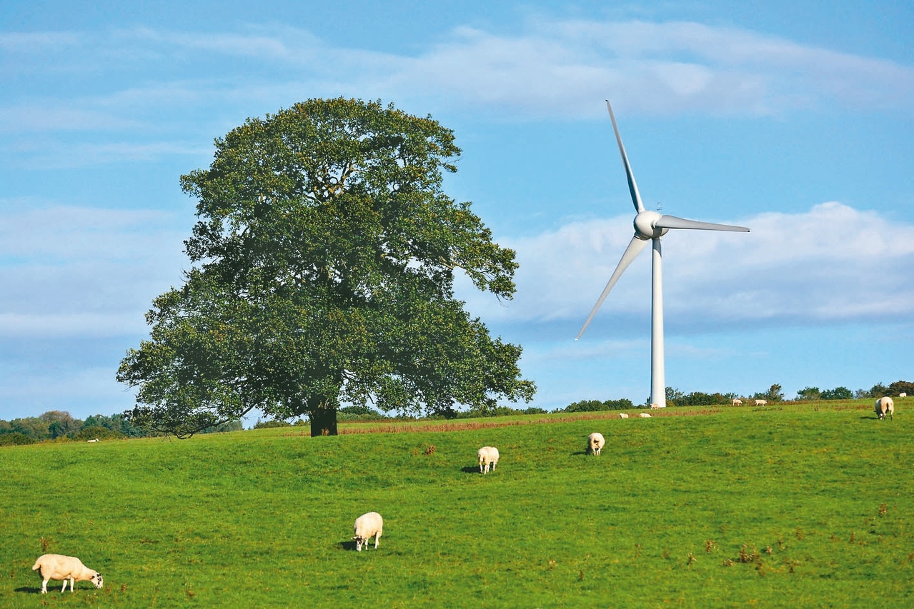 今日最夯ETF／淨零碳排趨勢不可逆00899大漲2.1%、量能兼具| 基金天地| 理財| 經濟日報