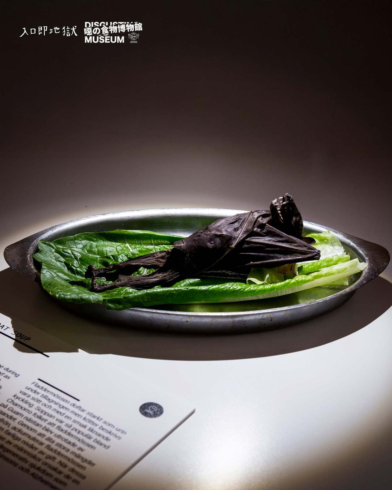 是噁心還是美味？「入口即地獄噁の食物博物館」集結85道看起來嚇人、聞起來臭死人、吃起來口感驚人的怪奇食物你有勇氣試吃嗎？ | 旅人生活|