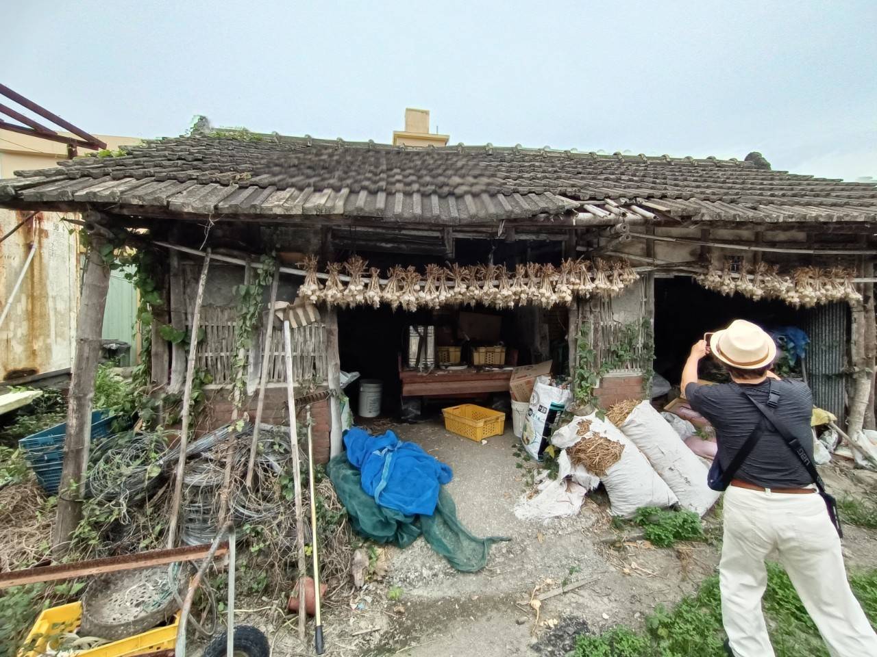 https://uc.udn.com.tw/photo/2025/11/17/0/33677147.jpg