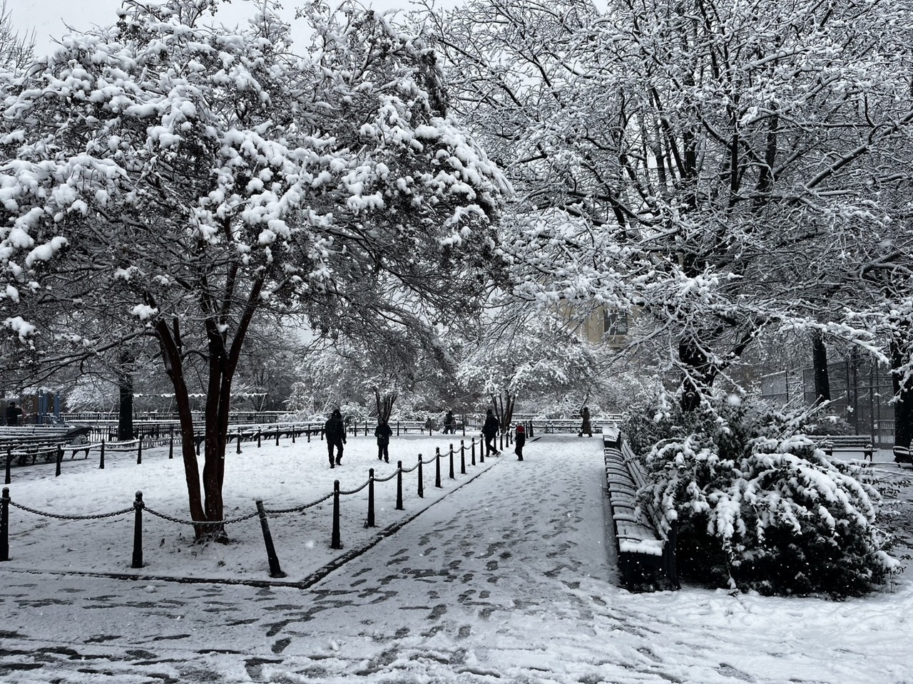 纽约今冬首场降雪积数吋下午4时启动「蓝色警报」 | 纽约即时| 纽约| 世界新闻网