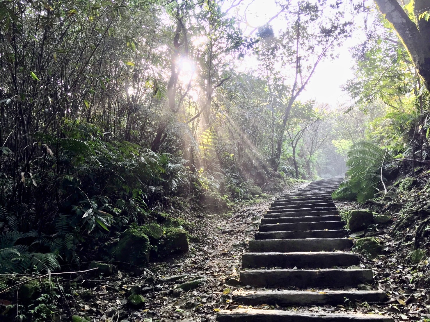台股開盤收紅應沒啥問題…年前就要你抱緊處理！專家：南韓今年漲幅已37.8％