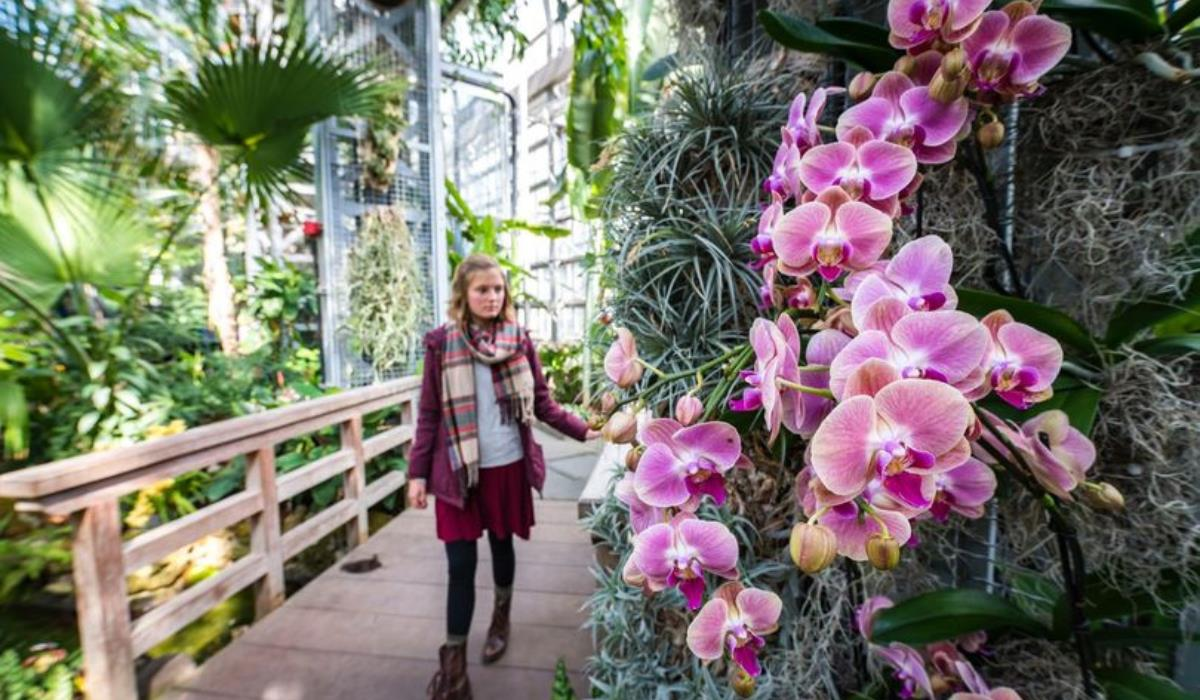 国家植物园温室整修完工4月起免费开放 有吧新闻