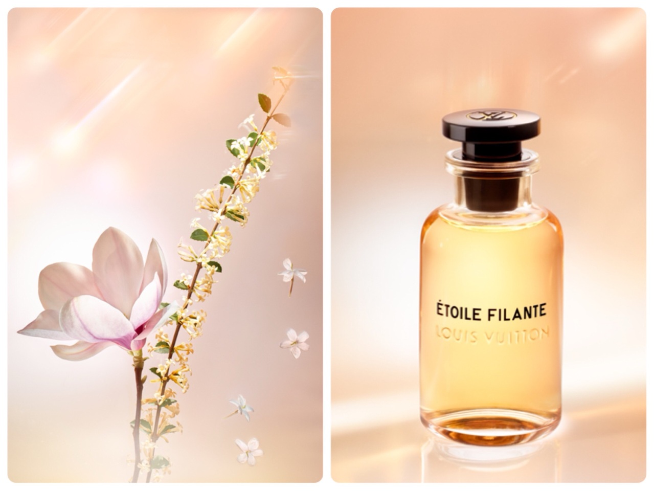 Lv新女香etoile Filante 桂花 木兰清新余韵悠长 流行时尚 生活 世界新闻网