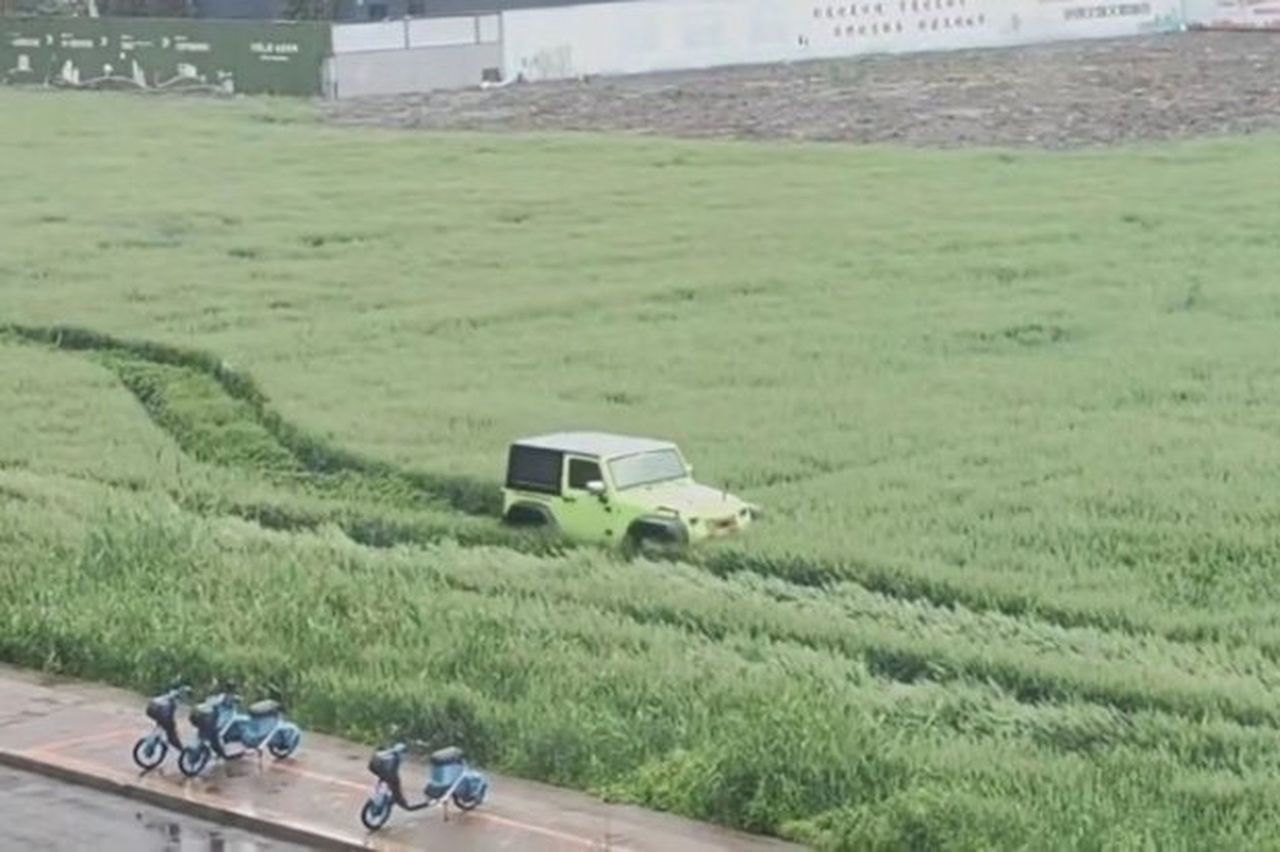 浙江嘉兴一辆越野车在麦田里面行驶，肆意辗压麦子。（取材自橙柿互动）