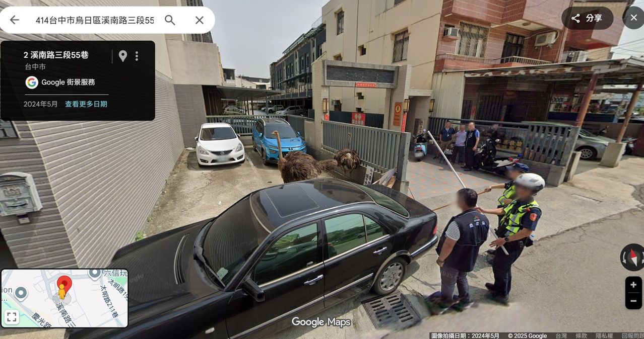 Google街景再添奇景：警察围捕鸵鸟