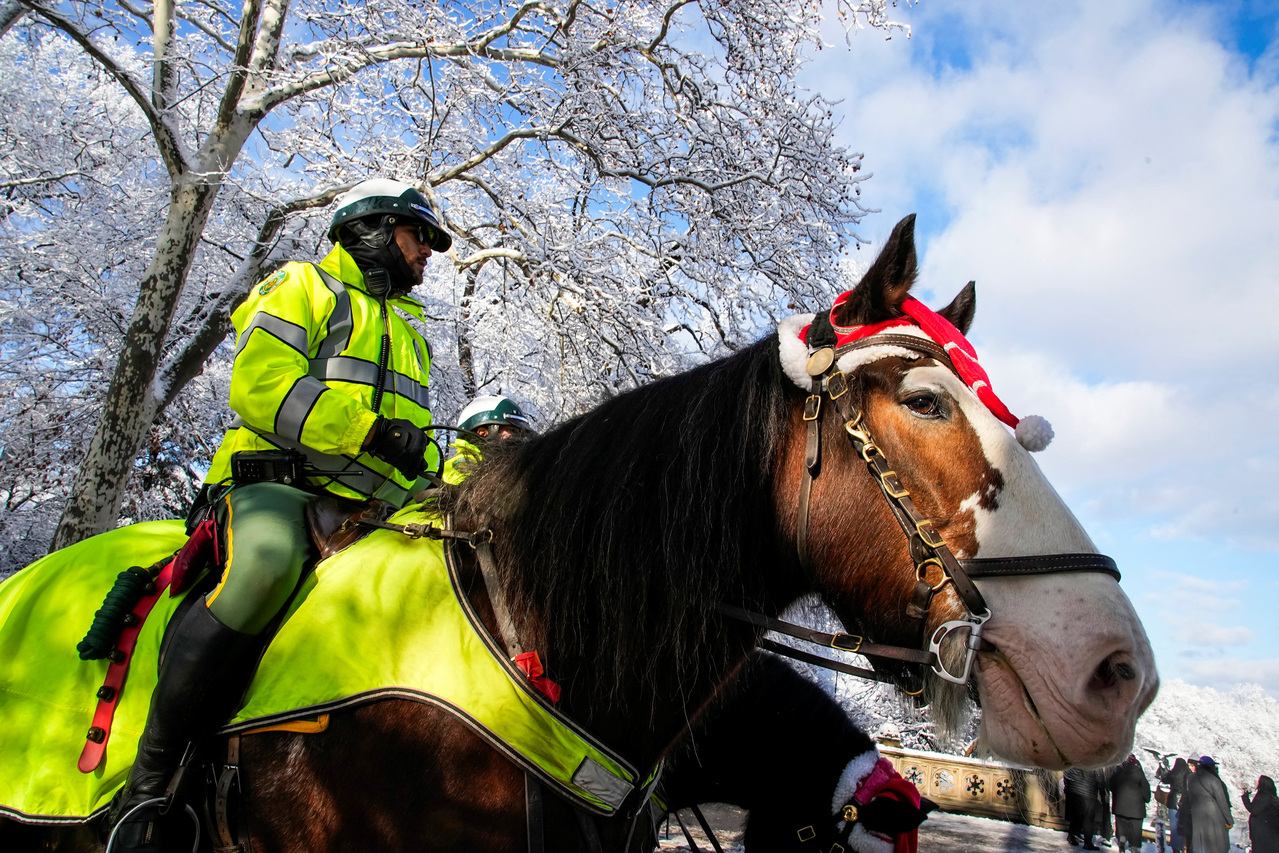 食人美學：人魔系列的恐怖美學觀| Pop Culture Academy, image size:1279x853